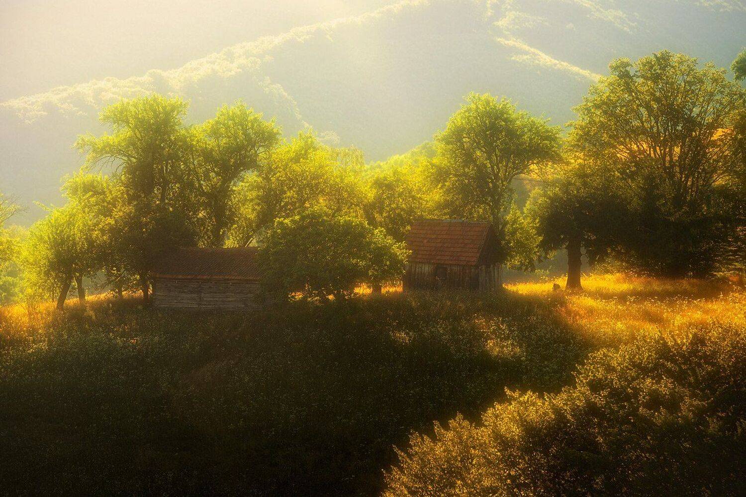 , Stefan Chirobocea