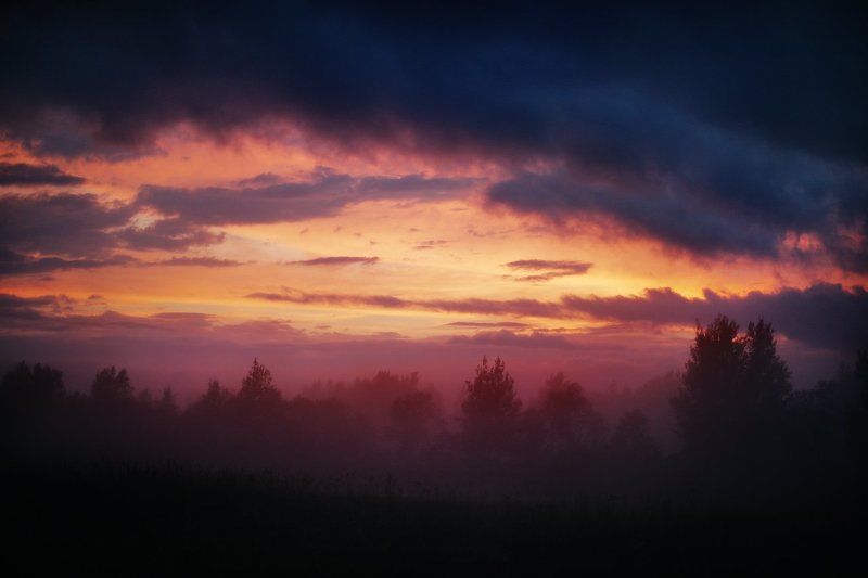 * * * фото превью