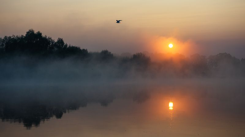 На реке фото превью