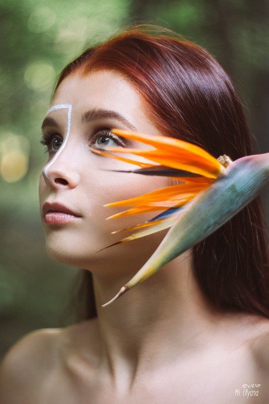 Райская птица фото превью