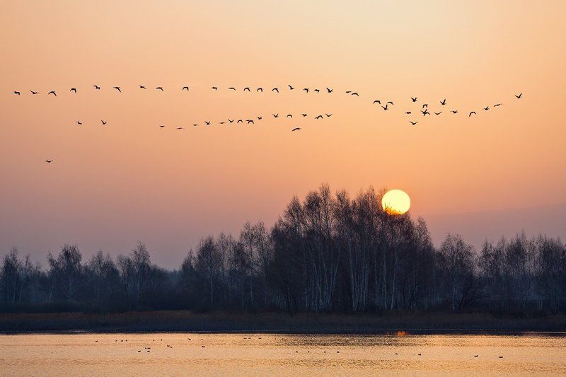 Апрельское утро. фото превью