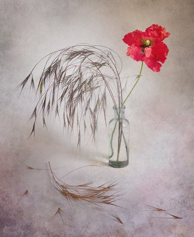 Ten jedyny фото превью