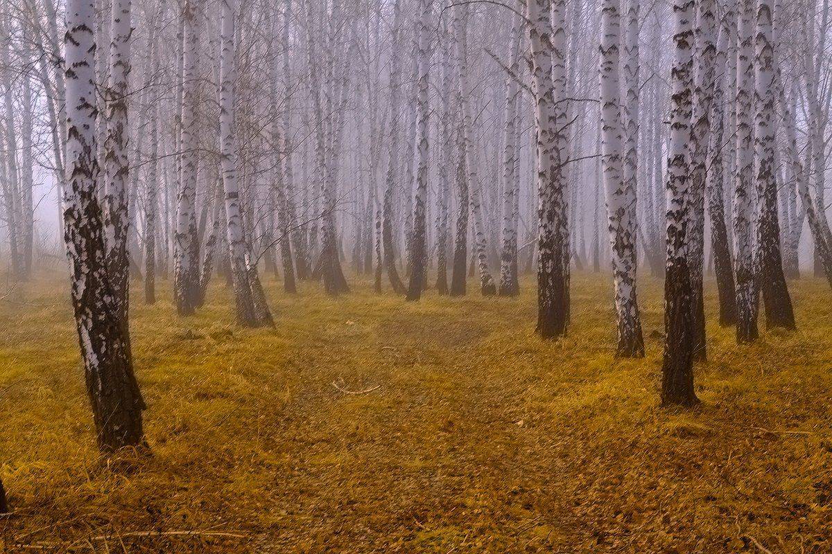 , Николай Морский