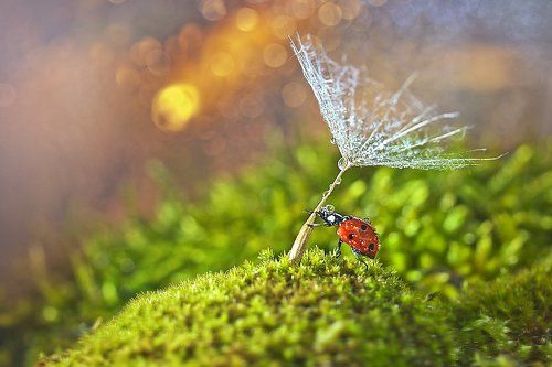 There is always sunshine after a rainy day