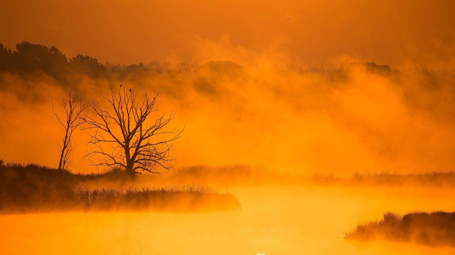 Рассвет, Река, Туман, MaxV