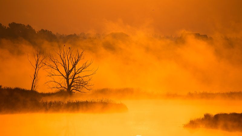 Рассвет, Река, Туман Оранжевое настроение фото превью