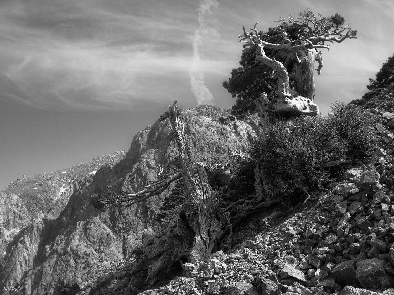 , Александр Кудинов