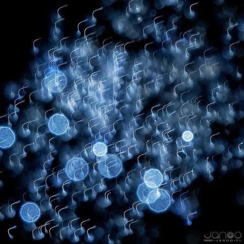 fireworx