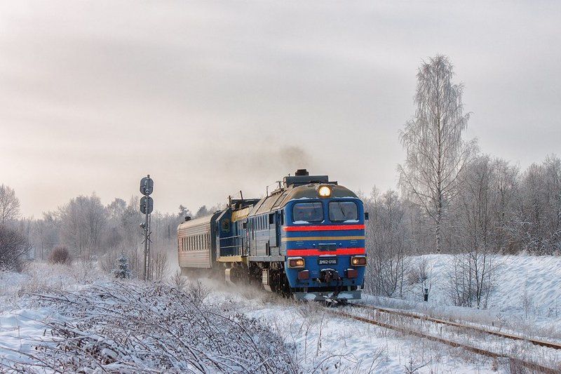 поезд, зима, снег, мороз, шлина, комсомольский, тверская область, дм62, м62, железная дорога *** фото превью