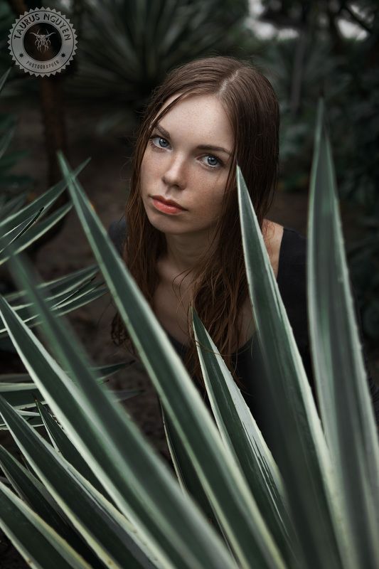 Look фото превью