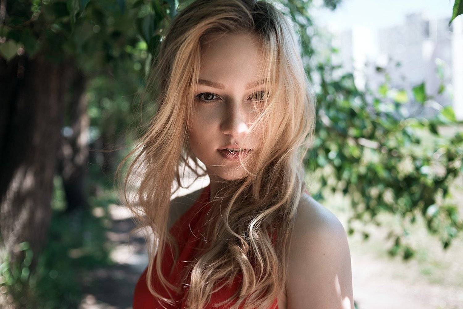 , Скрипников Александр