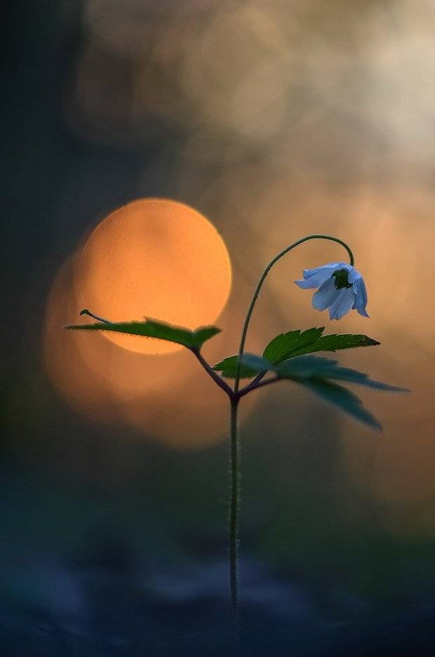 , Вячеслав Мищенко