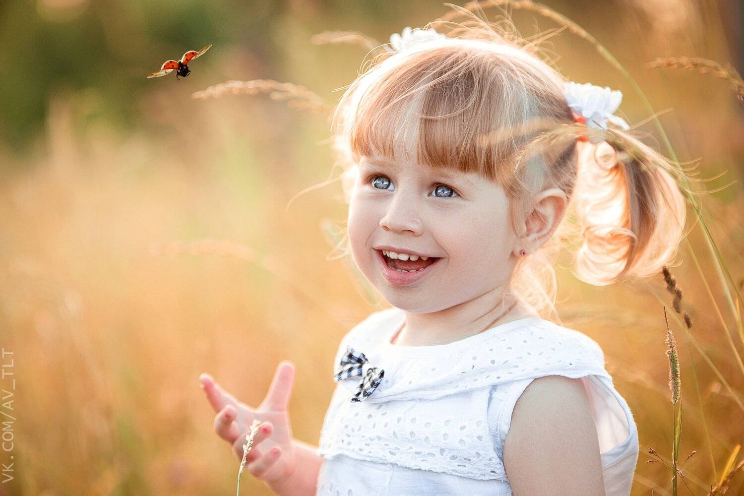 детское фото, девочка, лето,поле, Сухарь Александр