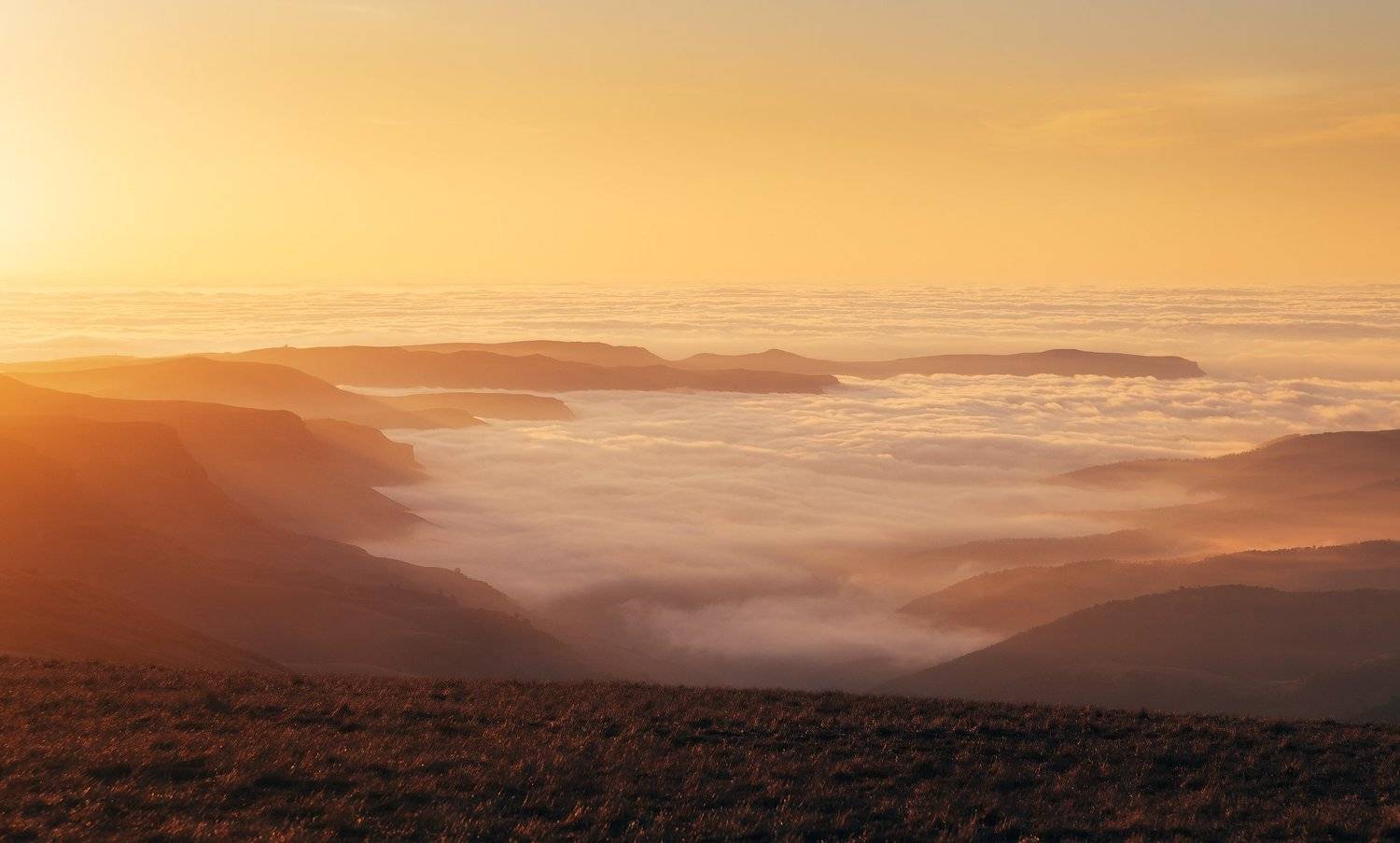, Сергей Сутковой