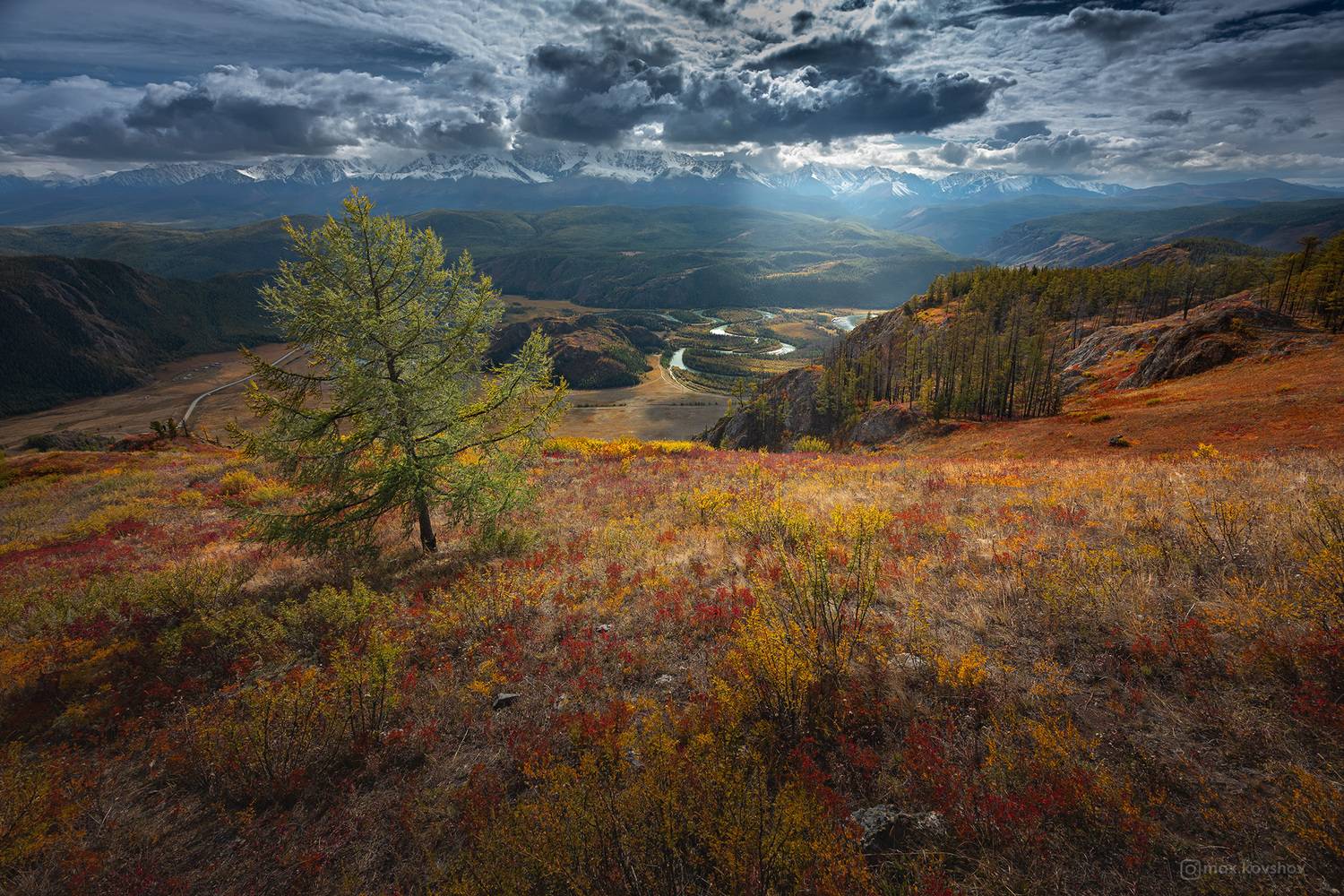 алтай, Макс Ковшов