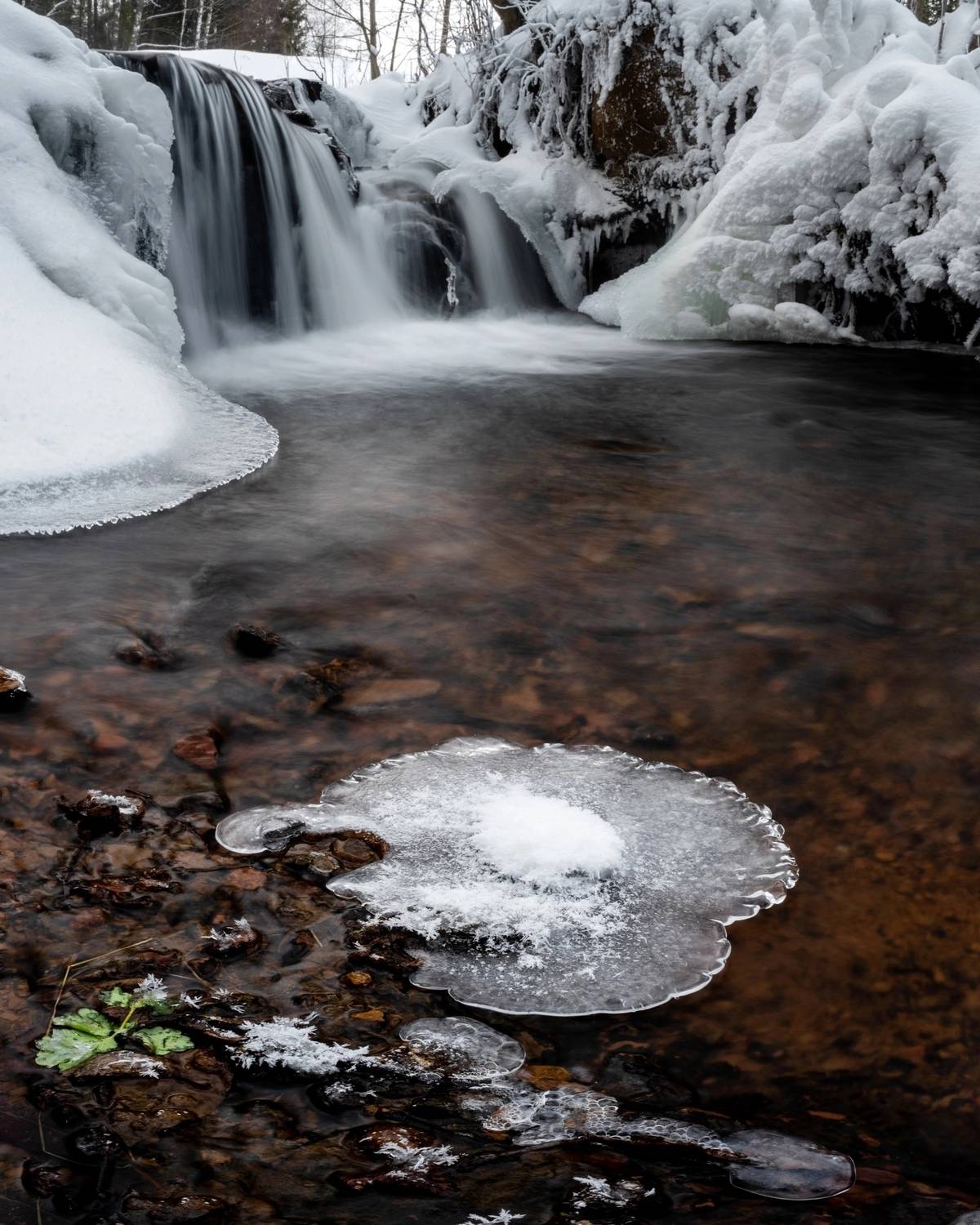 , Малыгин Андрей