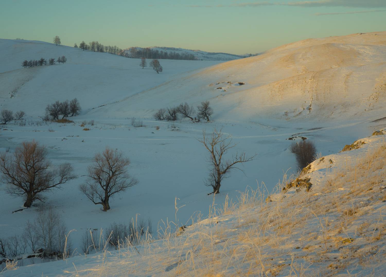 , Шустиков Дмитрий