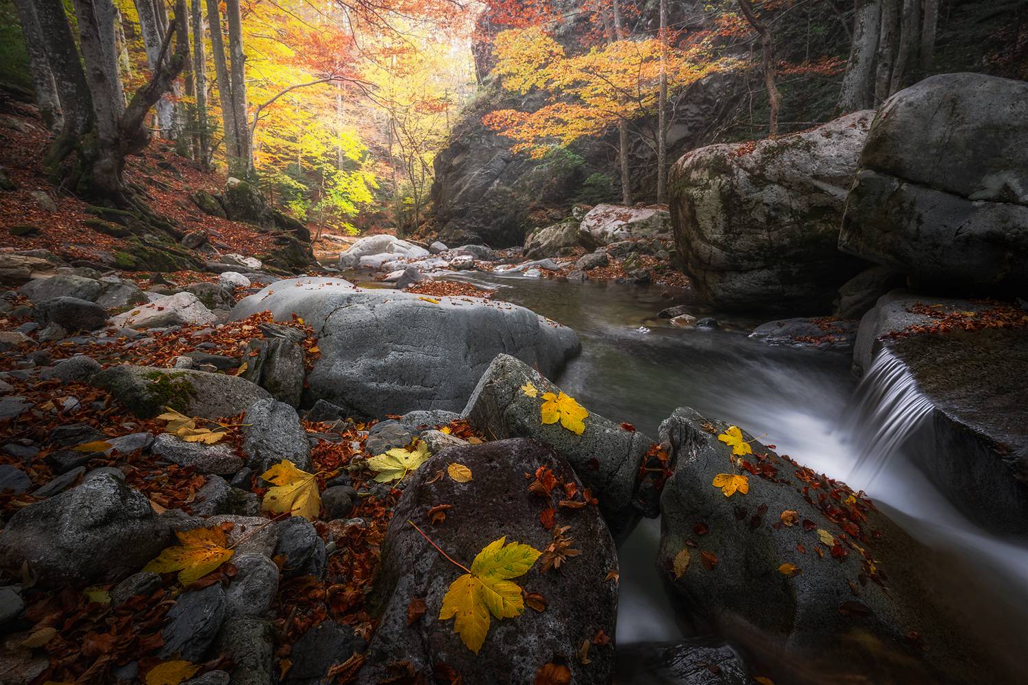 landscape, nature, autumn, river, fall, Александър Александров