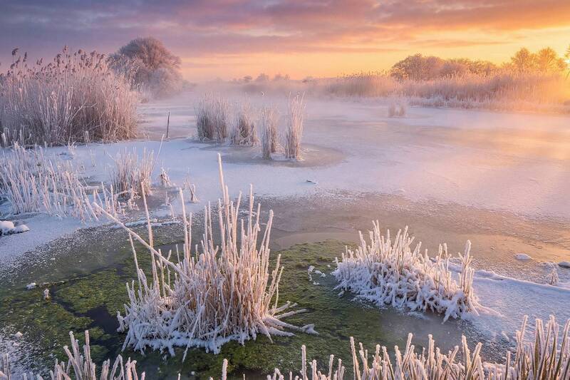 Ангелинский ерик фото превью