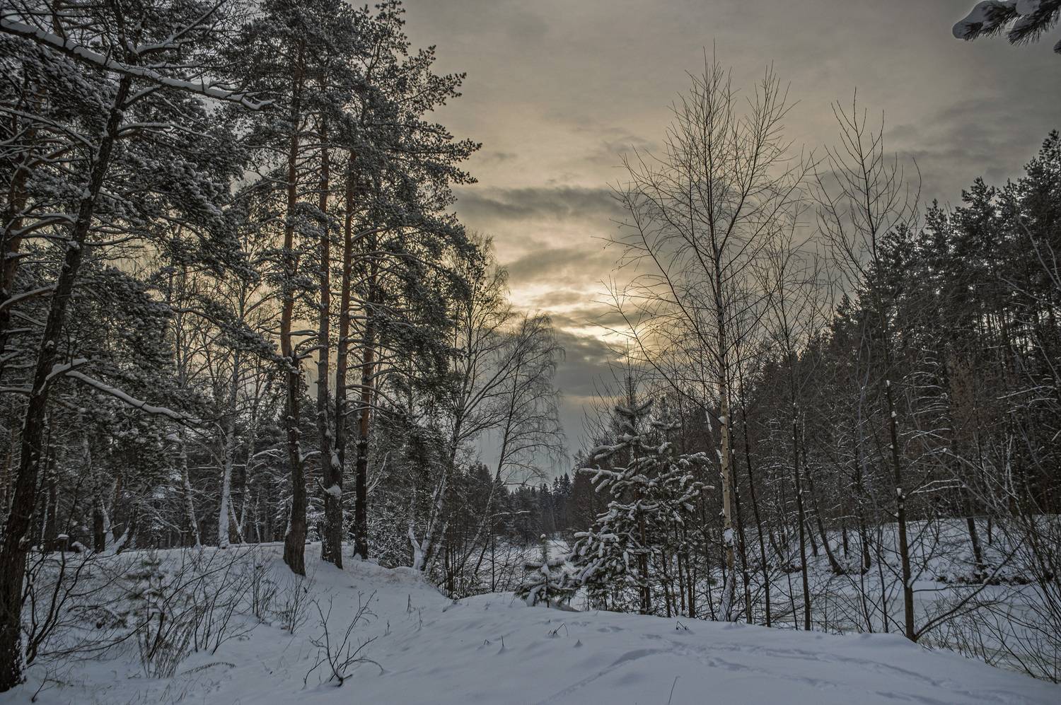 , Шитов Александр