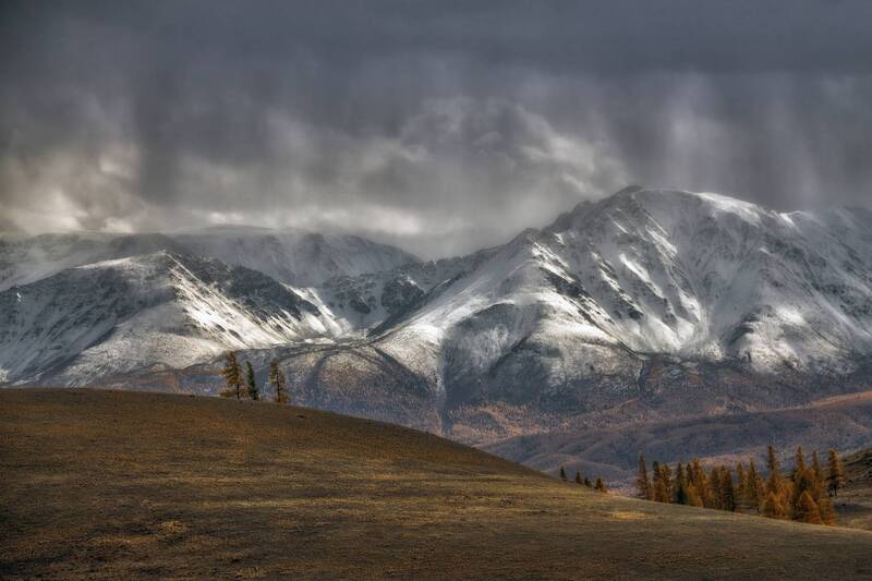 Между светом и тенью фото превью