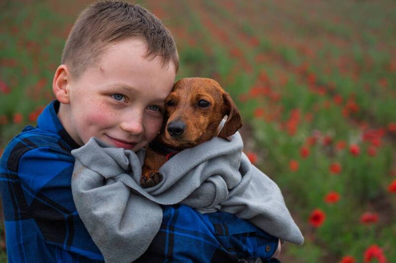 Друзья фото превью