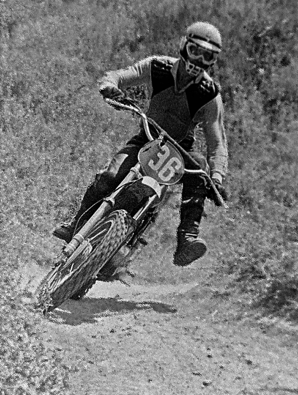 , Андрей Петросян