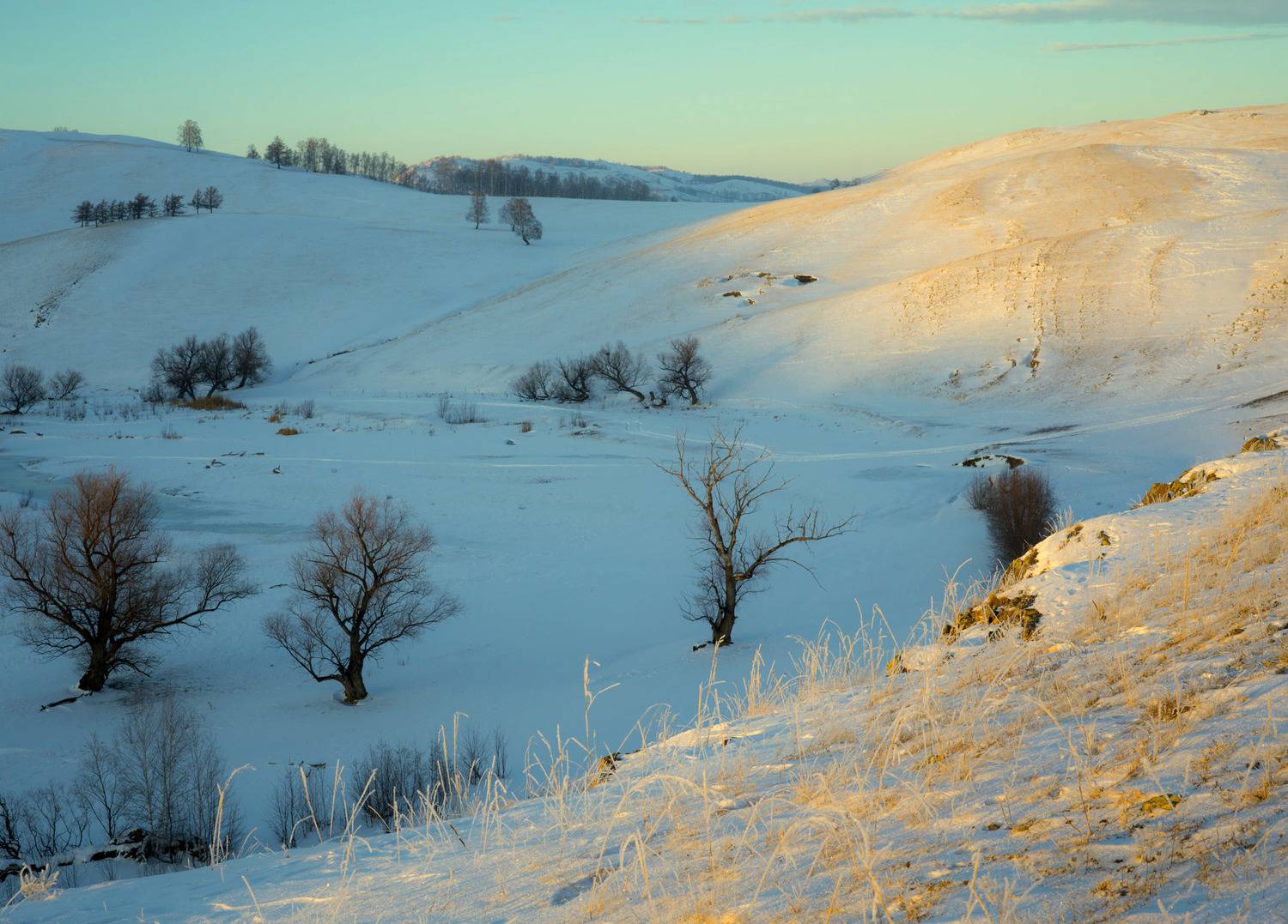 , Шустиков Дмитрий