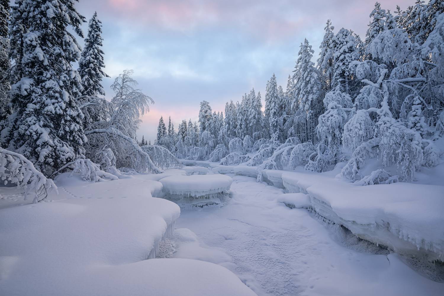 кольский, Евдокимов Максим