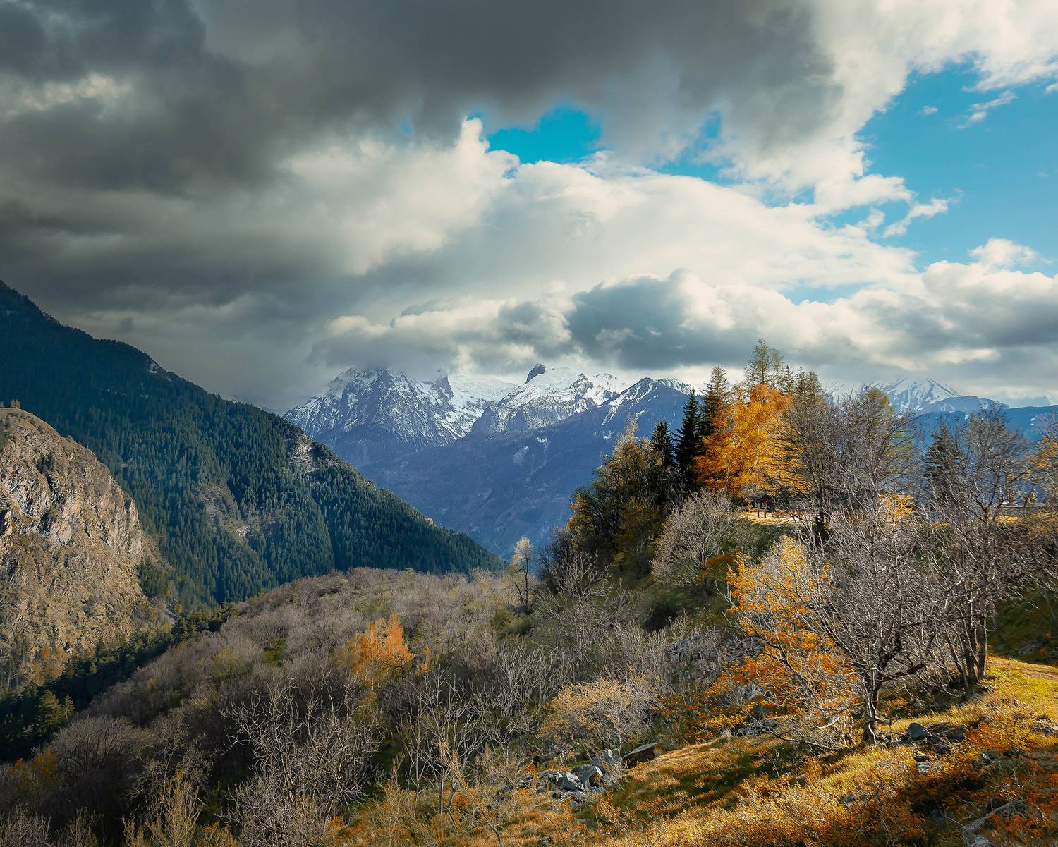 , Gasiorowski Wladyslaw