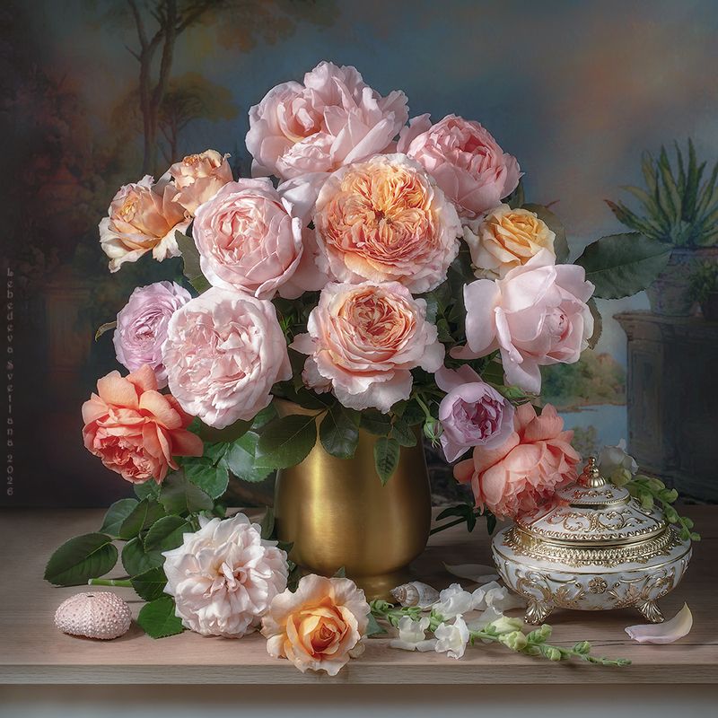 розы, натюрморт Нежное очарование роз  фото превью