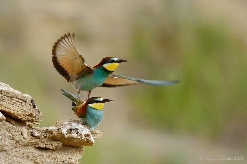 Сиди, я прикрою фото превью
