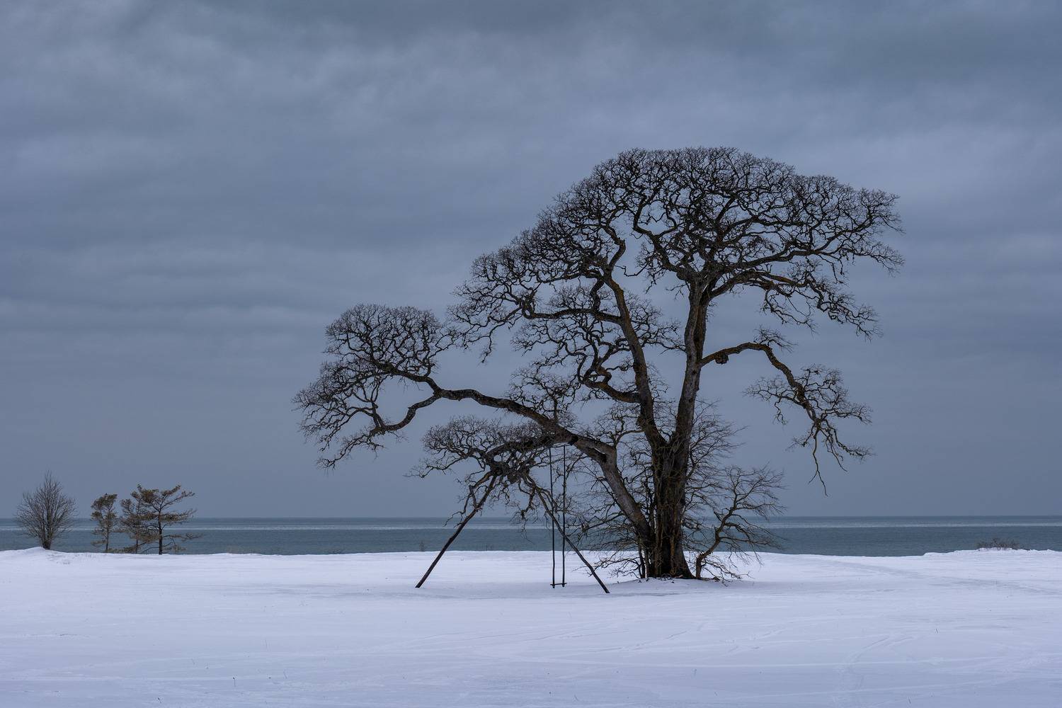 , Гордон Николай