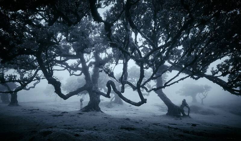 Волшебство Португалии... фото превью