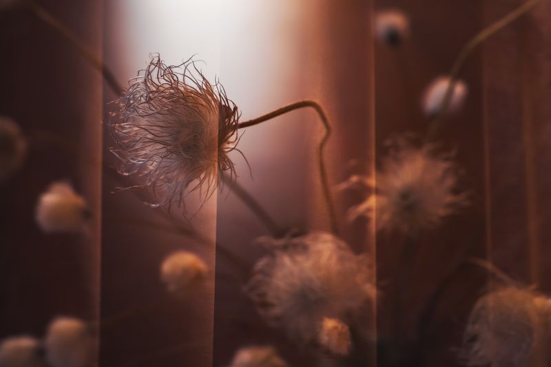 krasains, dubultaekspozicija Noskaņas foto фото превью