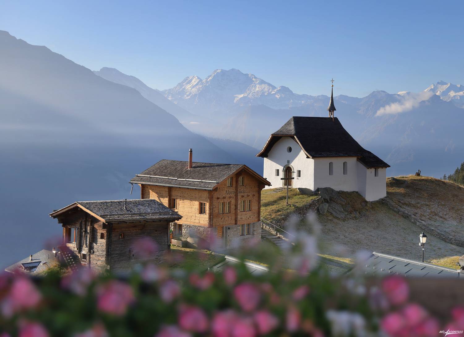 swiss, Матвеев Николай