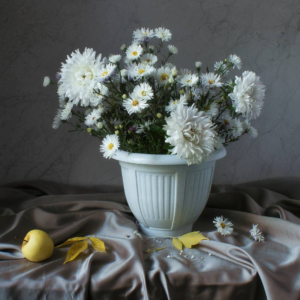 цветы, осень, астры, белый, букет, Колеснева Елена