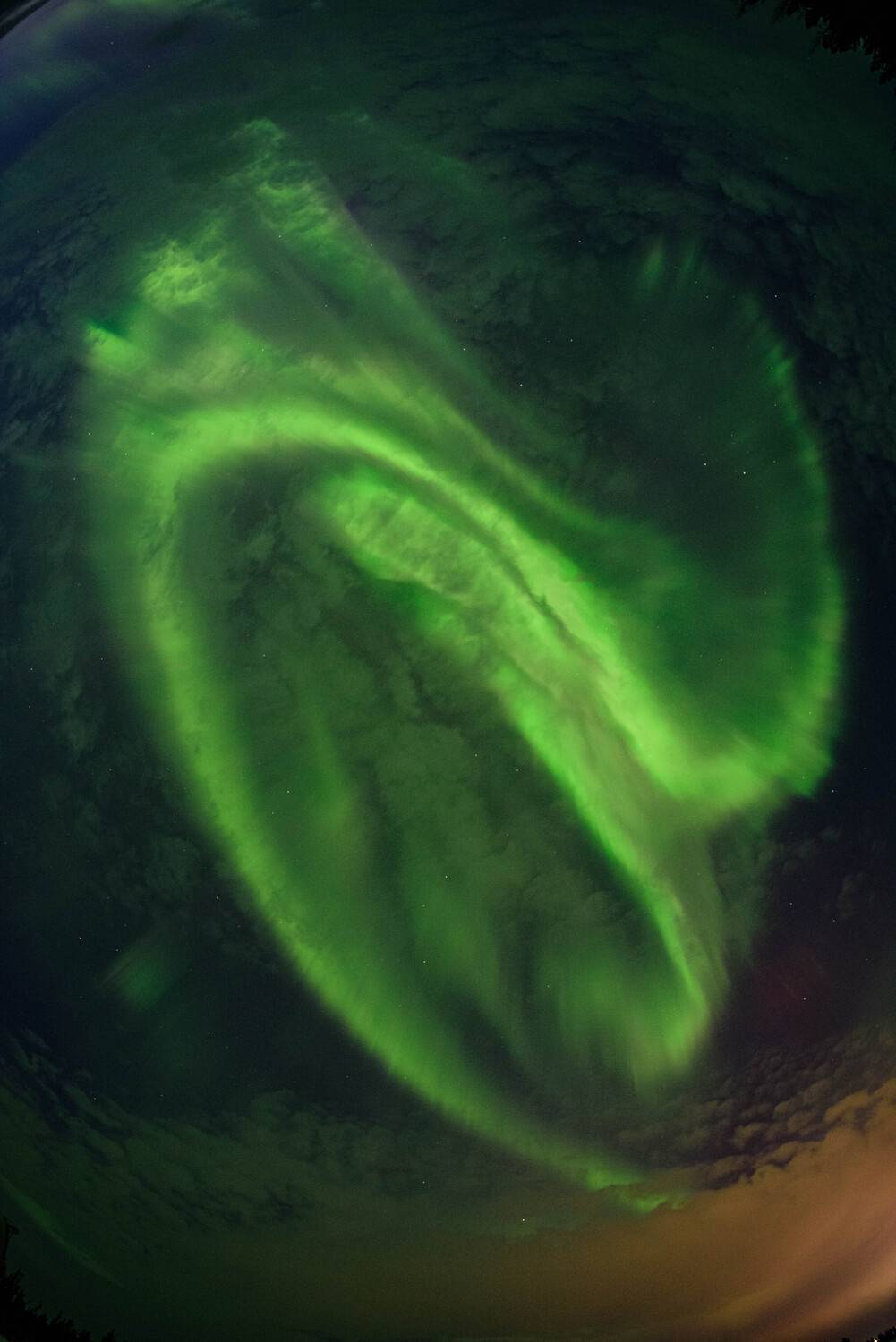 корона, небо, полярное сияние, надым, янао, OLEG STOROZHEV