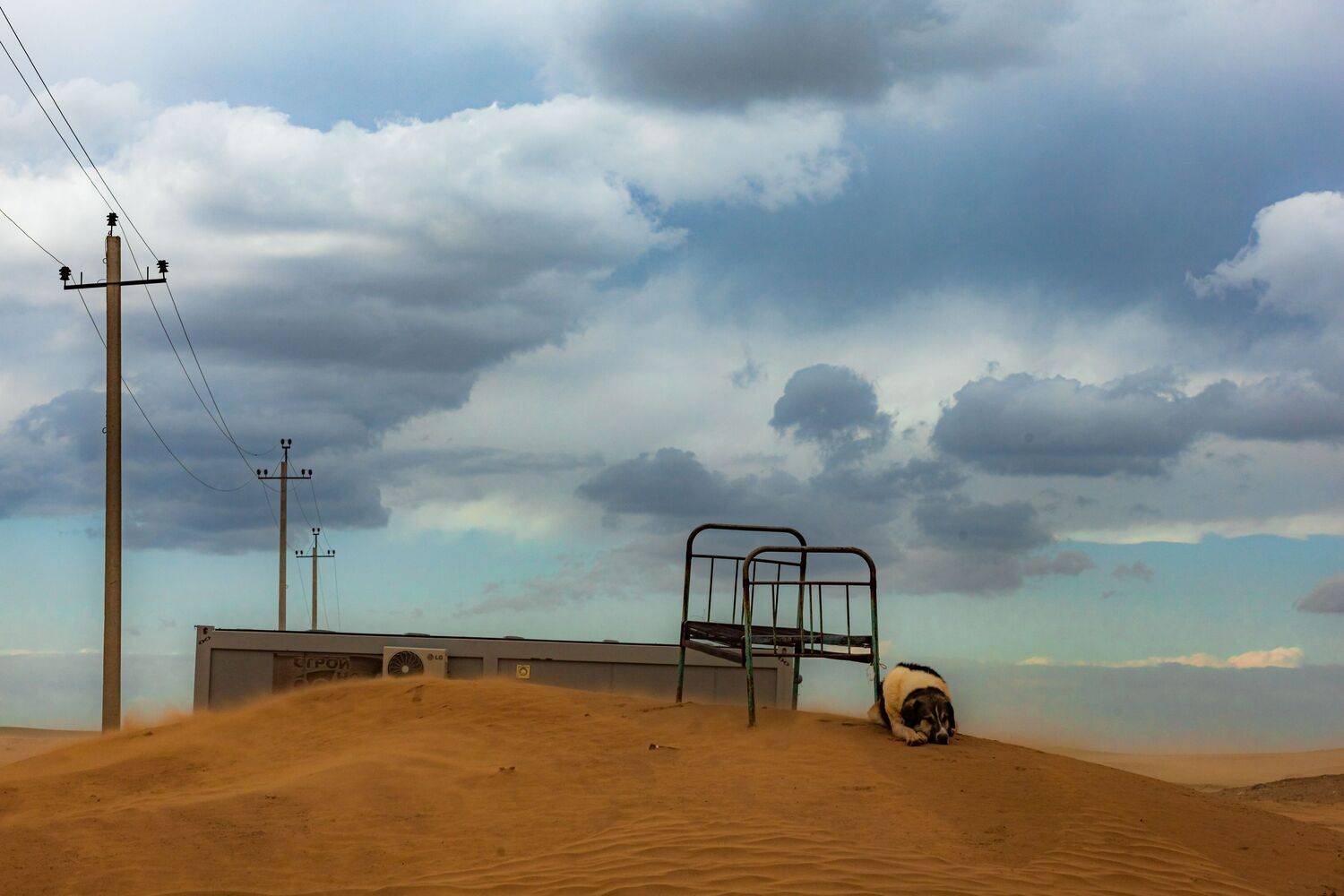 Калмыкия, Пейзаж, Бархан, Пески, Природа, Elena Mogilevich