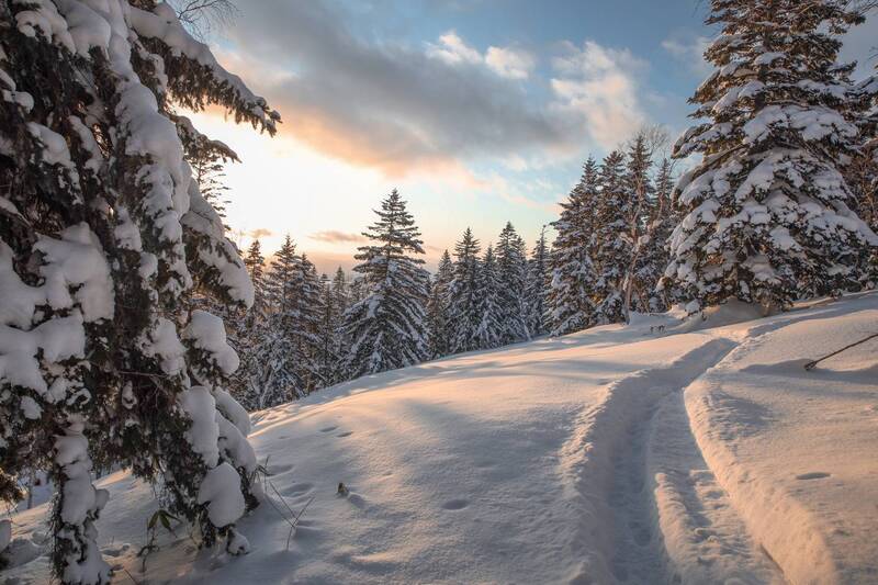 Таежный вечер фото превью