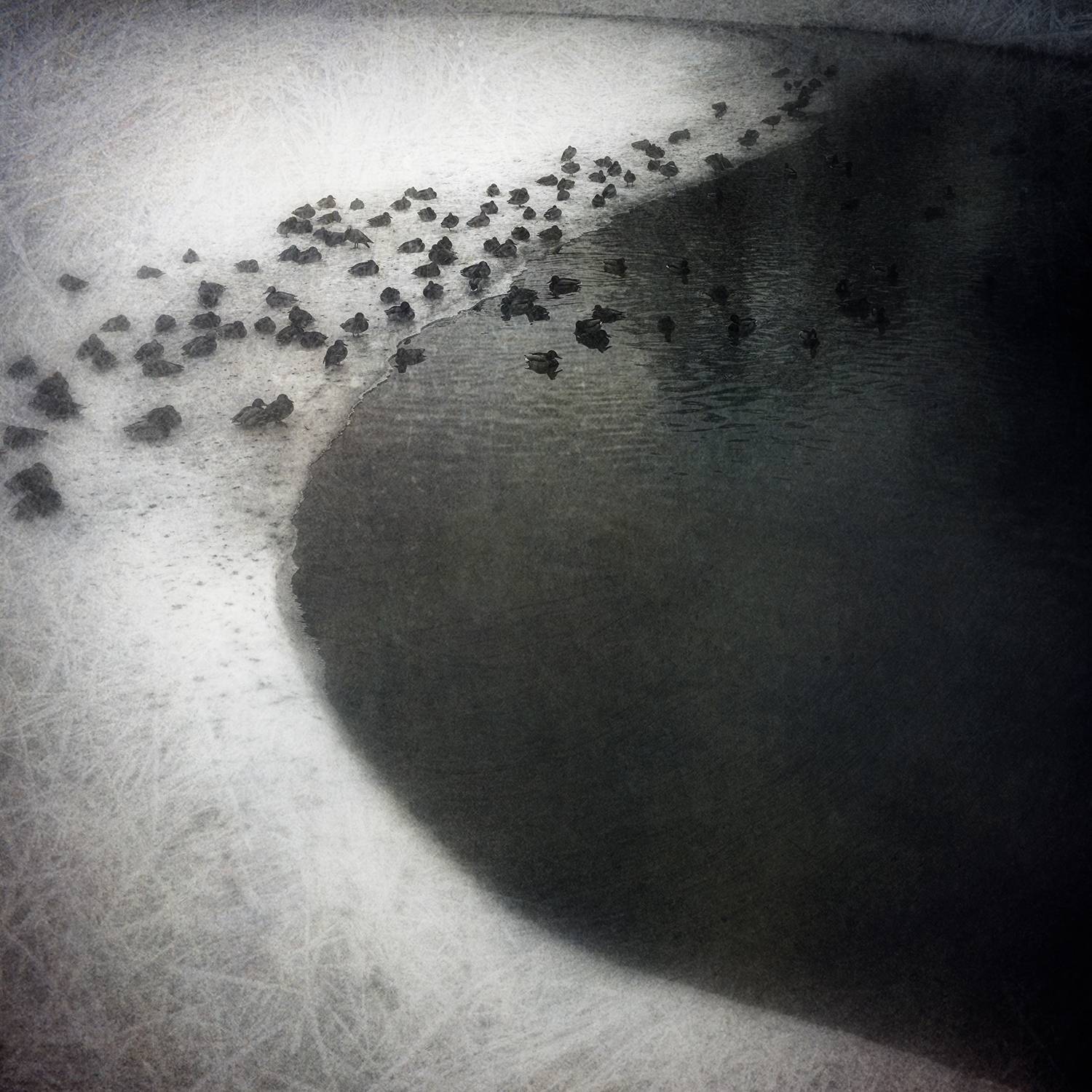 чб, минимализм, Сергей Кот