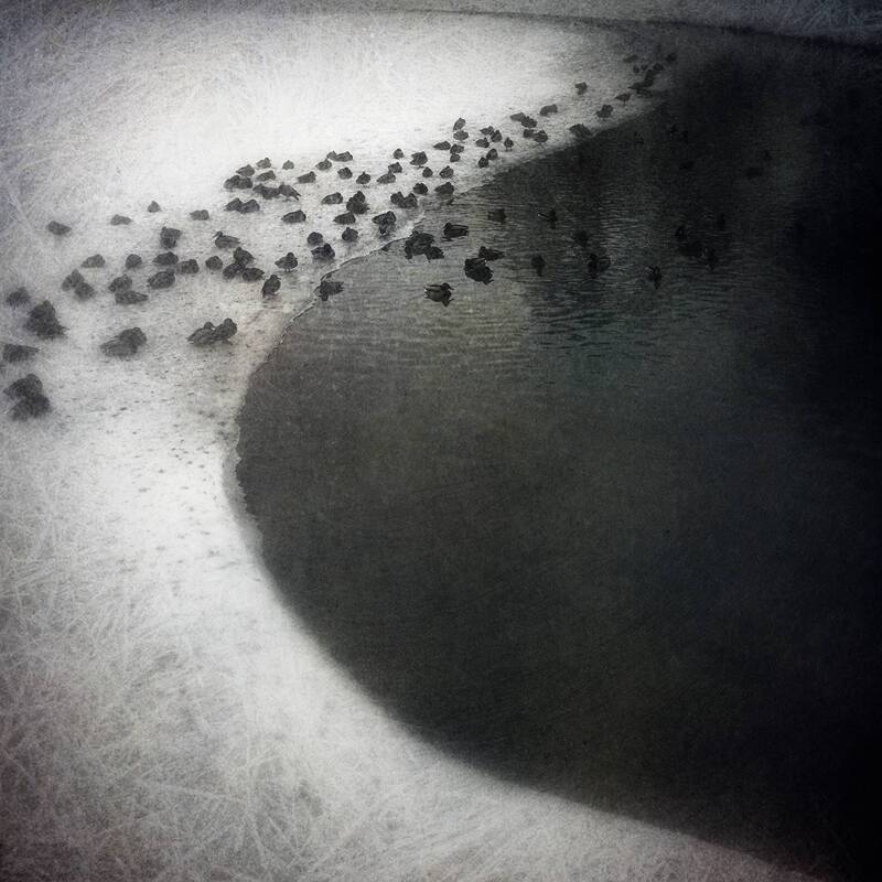 чб, минимализм Где Инь, там и Ян. фото превью