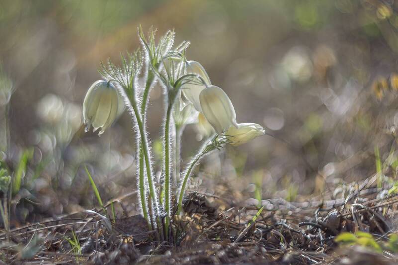 Скучаю... фото превью