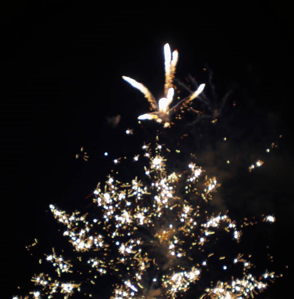 , Савоцкий Роман