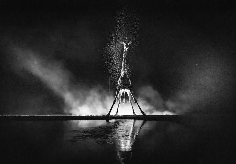 Кения, Шомполе  фото превью