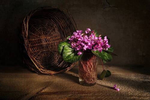 Первый день весны