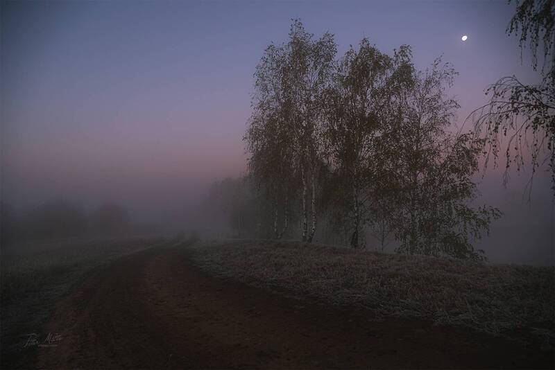Предрассветное фото превью