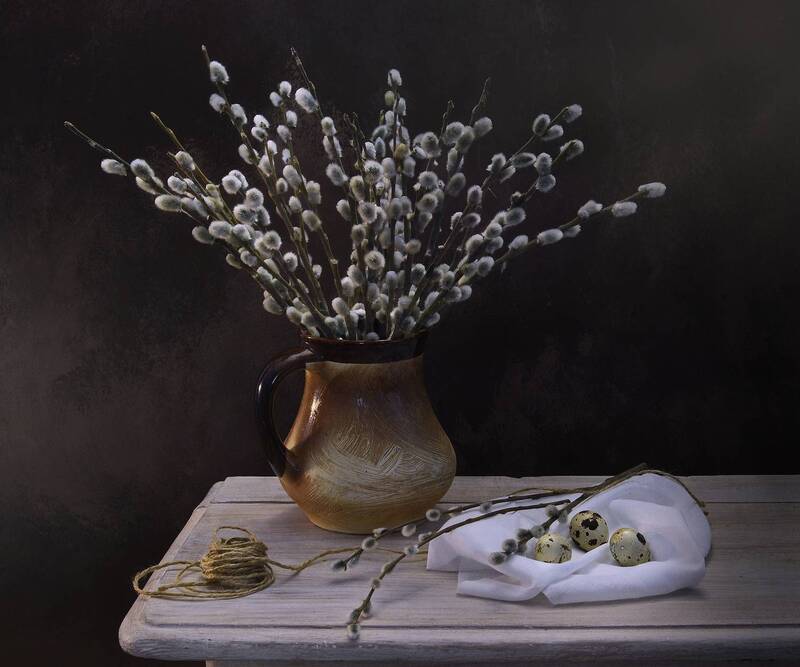 верба, весна, инаида, свет *** фото превью