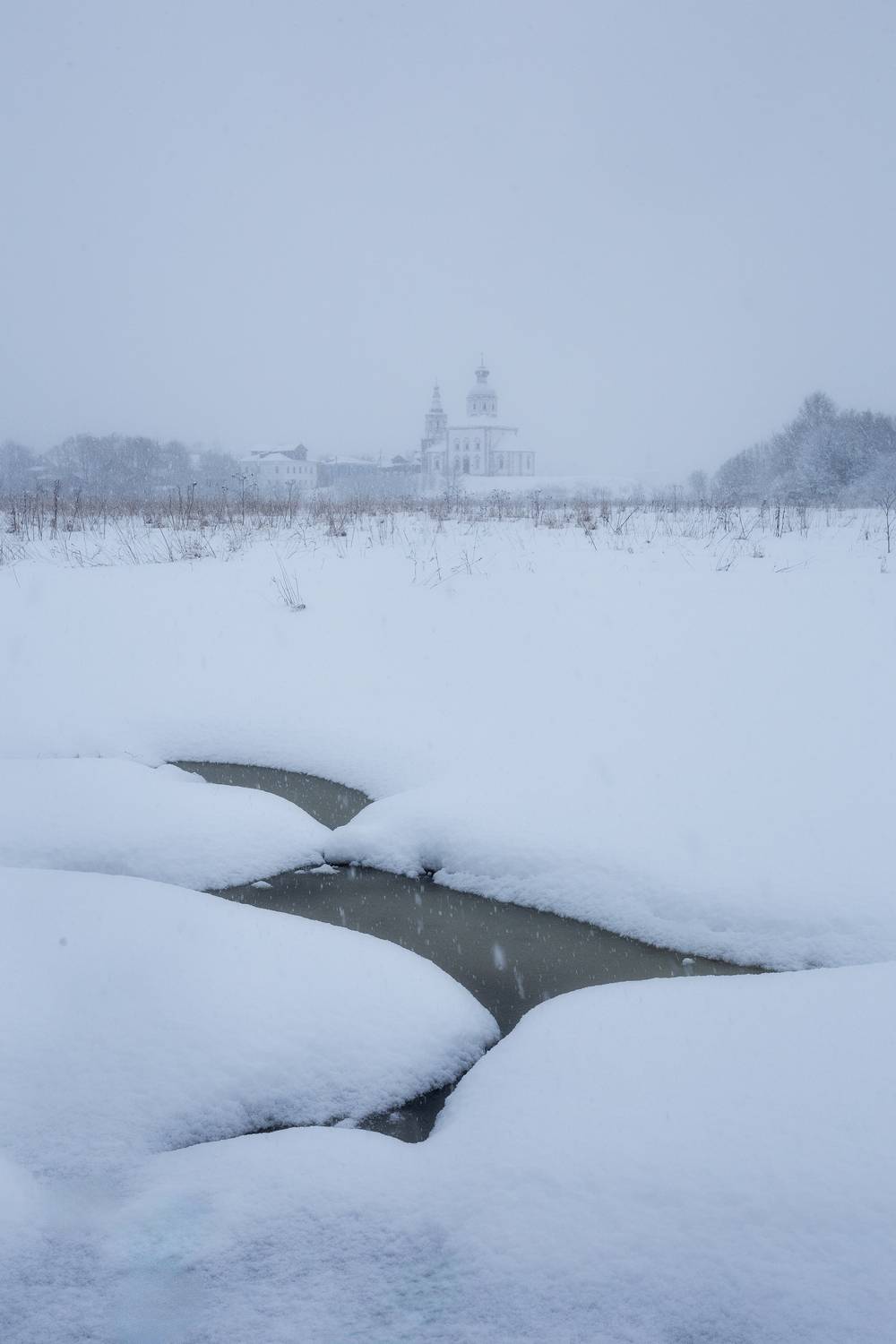 Суздаль, природа, пейзаж, снегопад, Мартыненко Дмитрий