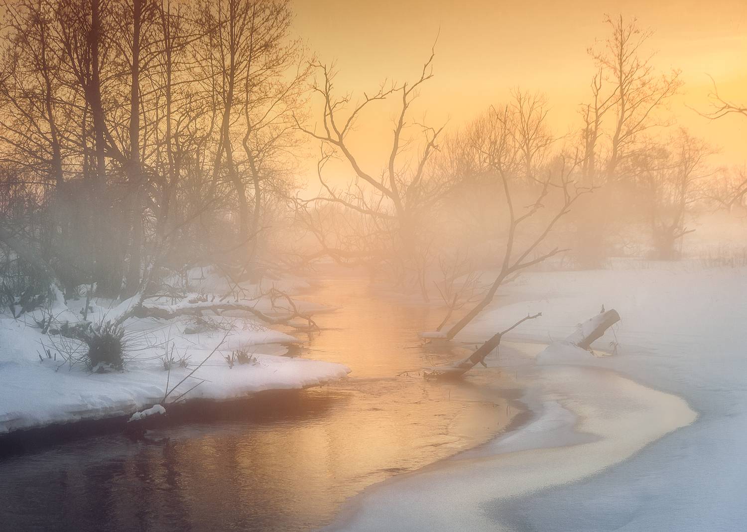 туман, река, зима, беларусь, Andrew Kuzmin